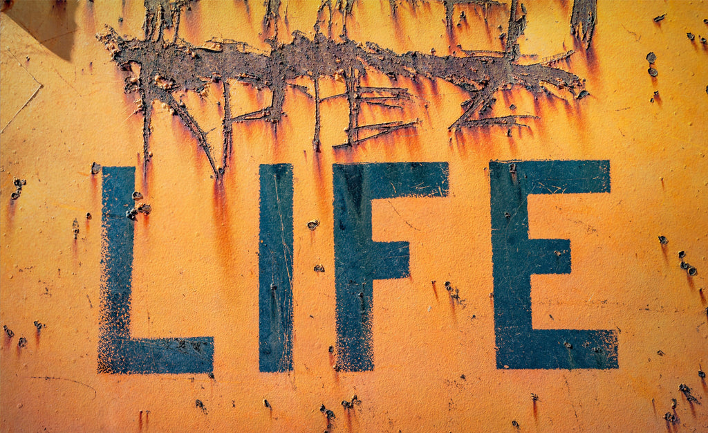 Discovering Your Purpose and Passion