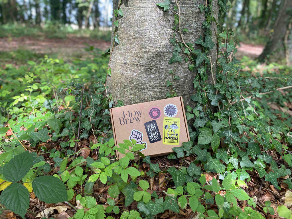 Flow brew box sitting next to a tree in the forest