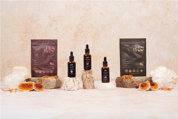 Why I Switched to Tinctures And What That Feeling From Your Last Mushroom Supplement Actually Was