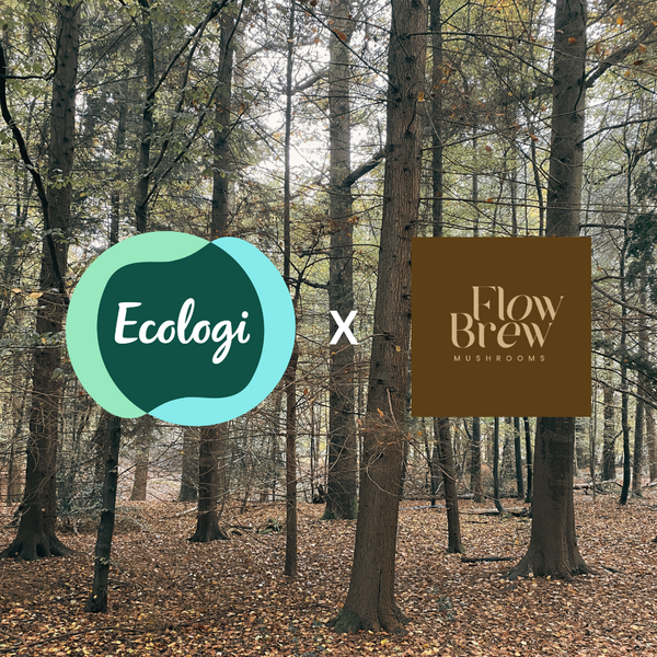 Growing a Greener Future - Our Partnership with Ecologi