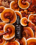 Baseline | 3 in 1 Tincture